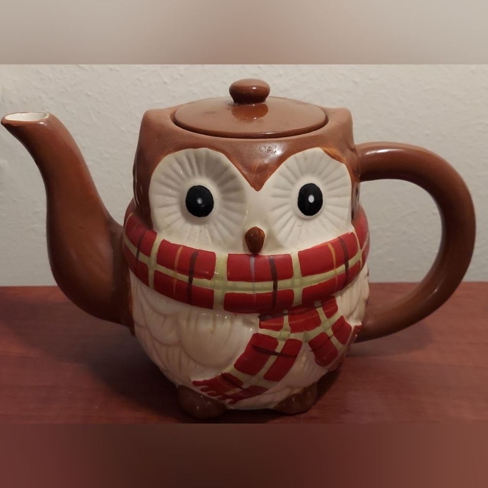 Hand Painted Kitchy Pier 1 Chilly Billy Owl Wearing Scarf Teapot With Lid